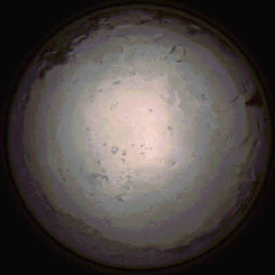 capture_202112091434_3490.Png