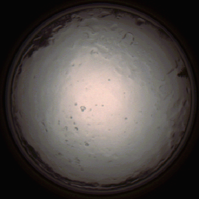 capture_202112091359_3455.Png