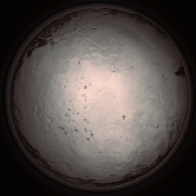 capture_202112091255_3391.Png