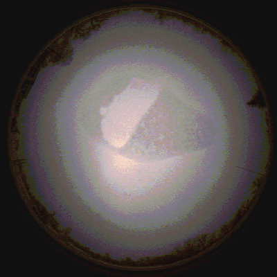 capture_202112090756_3092.Png