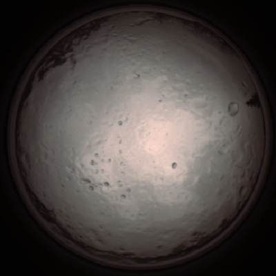 capture_202112091258_3394.Png
