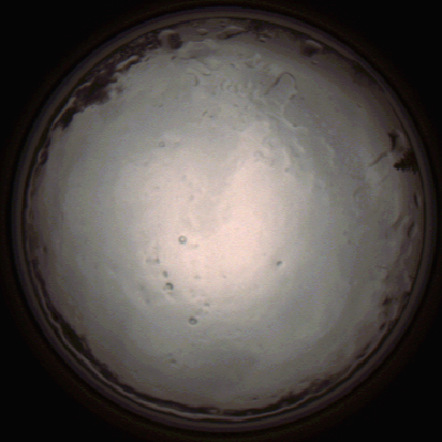 capture_202112091352_3448.Png