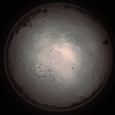 capture_202112091252_3388.Png