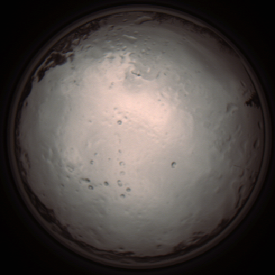 capture_202112091305_3401.Png
