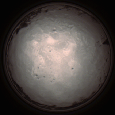 capture_202112091323_3419.Png