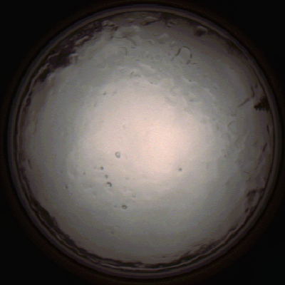 capture_202112091355_3451.Png
