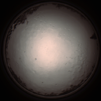capture_202112091202_3338.Png