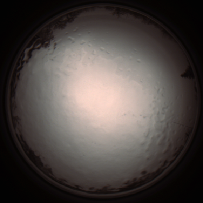 capture_202112091145_3321.Png