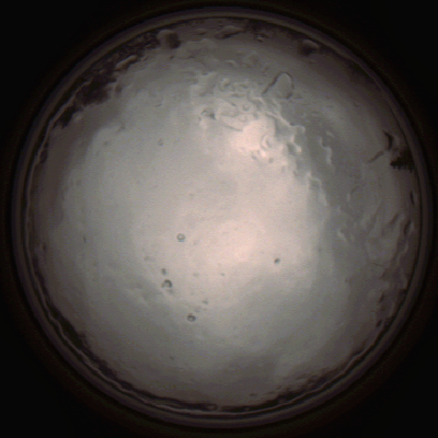 capture_202112091351_3447.Png