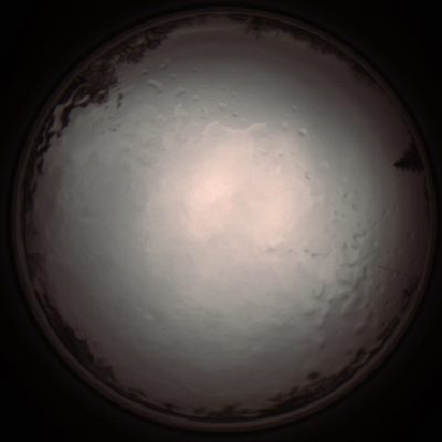capture_202112091139_3315.Png