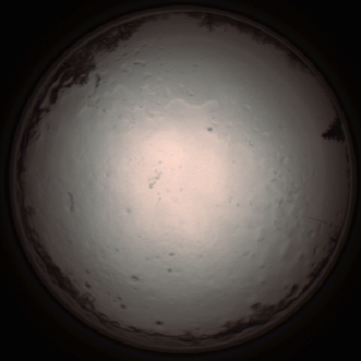 capture_202112091217_3353.Png