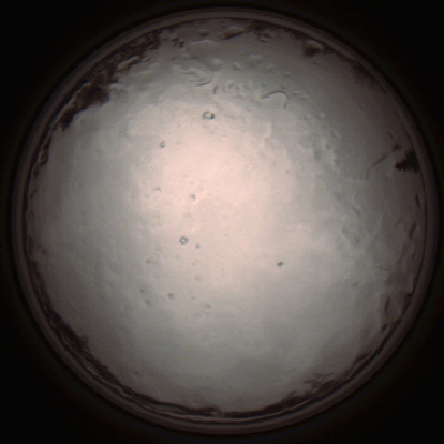 capture_202112091340_3436.Png