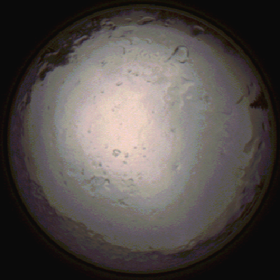 capture_202112091442_3498.Png