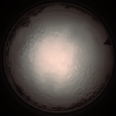 capture_202112091031_3247.Png