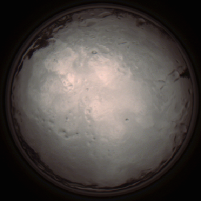 capture_202112091330_3426.Png