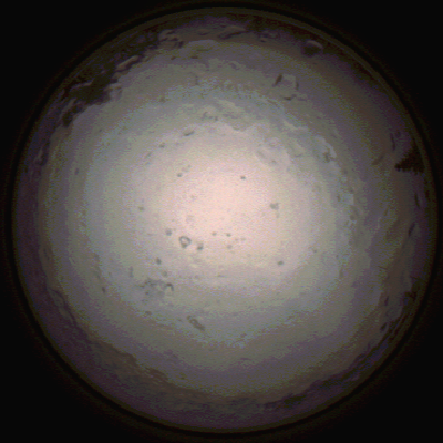 capture_202112091430_3486.Png