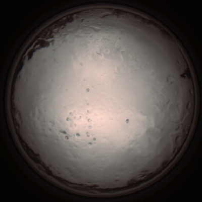 capture_202112091307_3403.Png