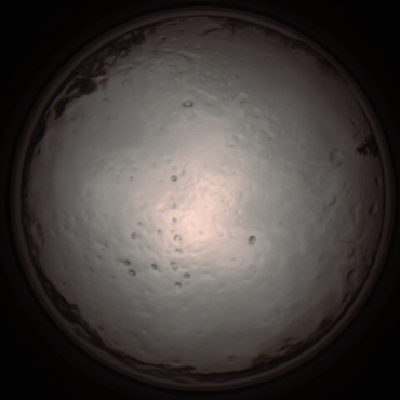 capture_202112091308_3404.Png