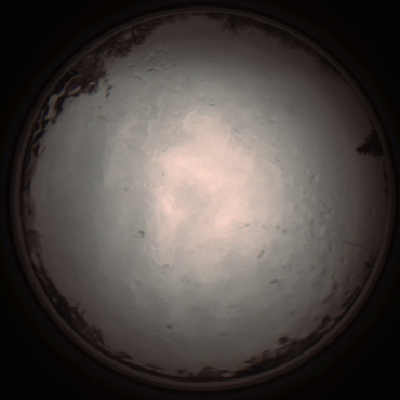 capture_202112091159_3335.Png