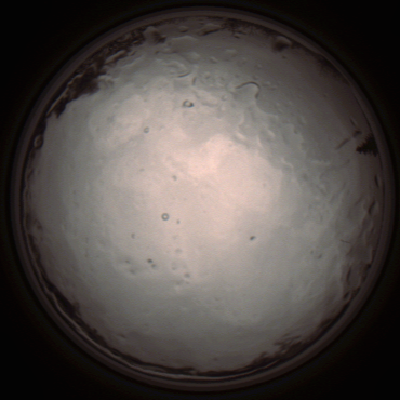 capture_202112091341_3437.Png