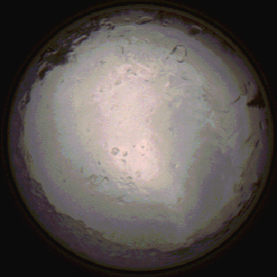 capture_202112091444_3500.Png