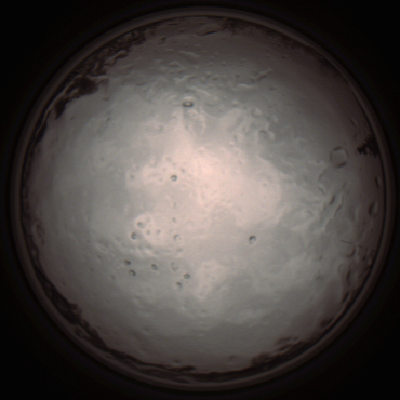 capture_202112091313_3409.Png