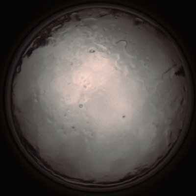 capture_202112091342_3438.Png