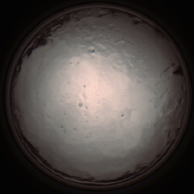 capture_202112091337_3433.Png