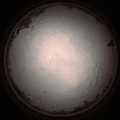 capture_202112091208_3344.Png