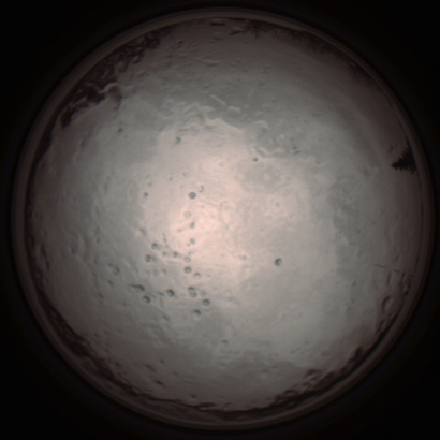capture_202112091253_3389.Png