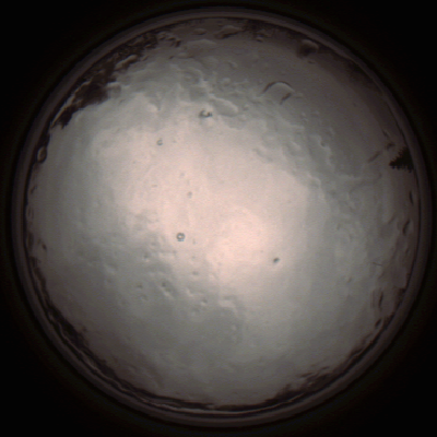 capture_202112091345_3441.Png