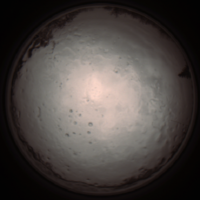 capture_202112091236_3372.Png