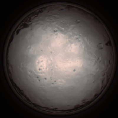 capture_202112091314_3410.Png