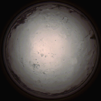 capture_202112091402_3458.Png