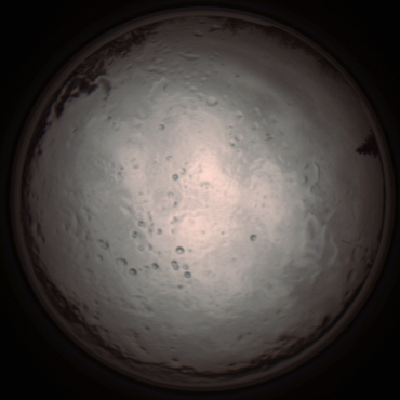 capture_202112091246_3382.Png