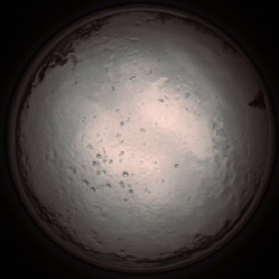capture_202112091243_3379.Png