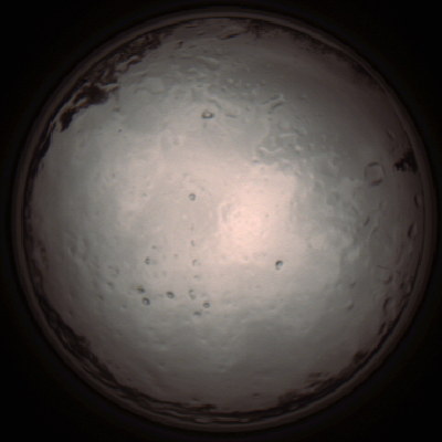capture_202112091311_3407.Png