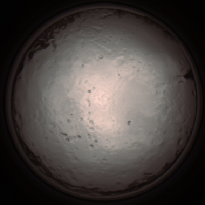 capture_202112091259_3395.Png