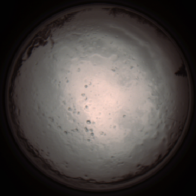 capture_202112091241_3377.Png
