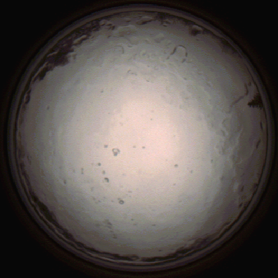capture_202112091358_3454.Png