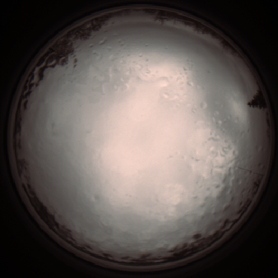 capture_202112091058_3274.Png