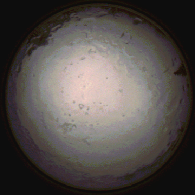 capture_202112091431_3487.Png
