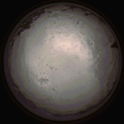 capture_202112091417_3473.Png