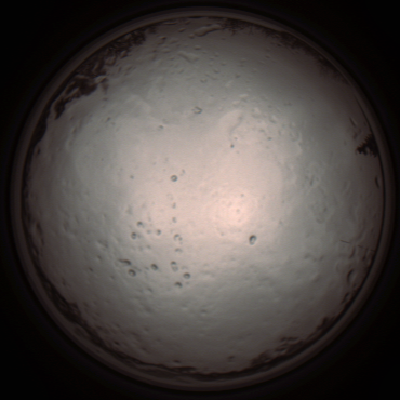 capture_202112091300_3396.Png