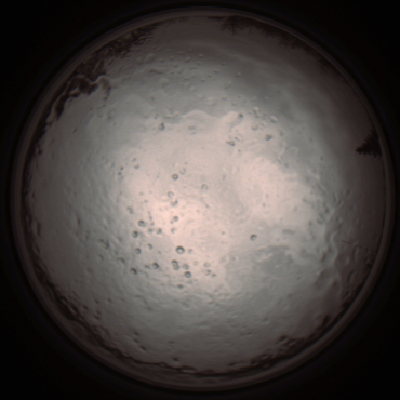 capture_202112091242_3378.Png