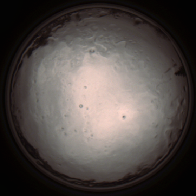 capture_202112091335_3431.Png