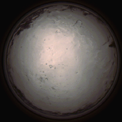 capture_202112091401_3457.Png