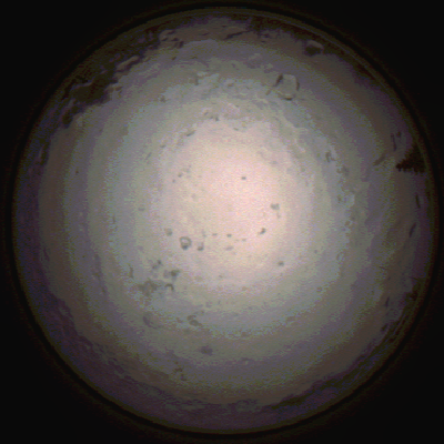 capture_202112091425_3481.Png