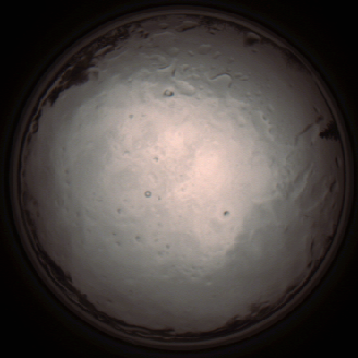 capture_202112091338_3434.Png