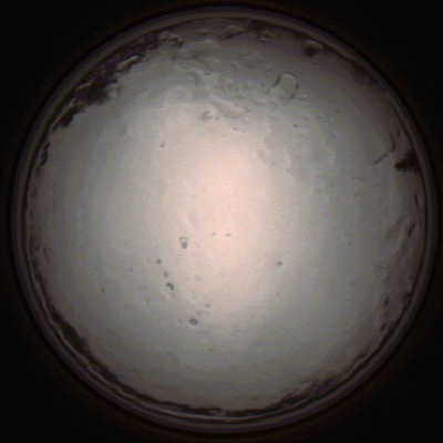 capture_202112091356_3452.Png